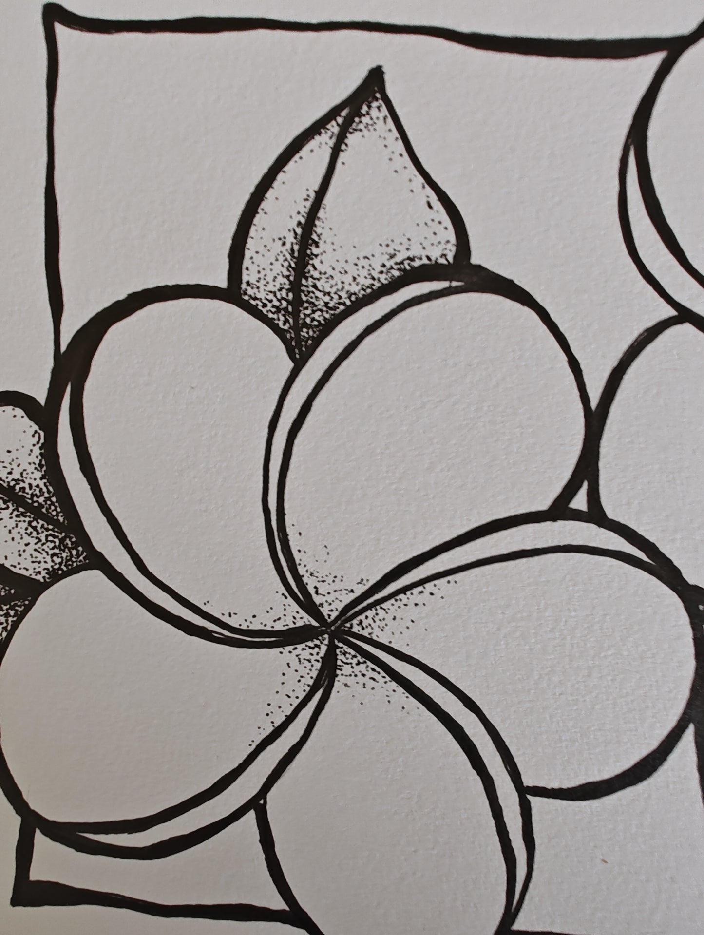 Original Ink Drawing- Plumeria