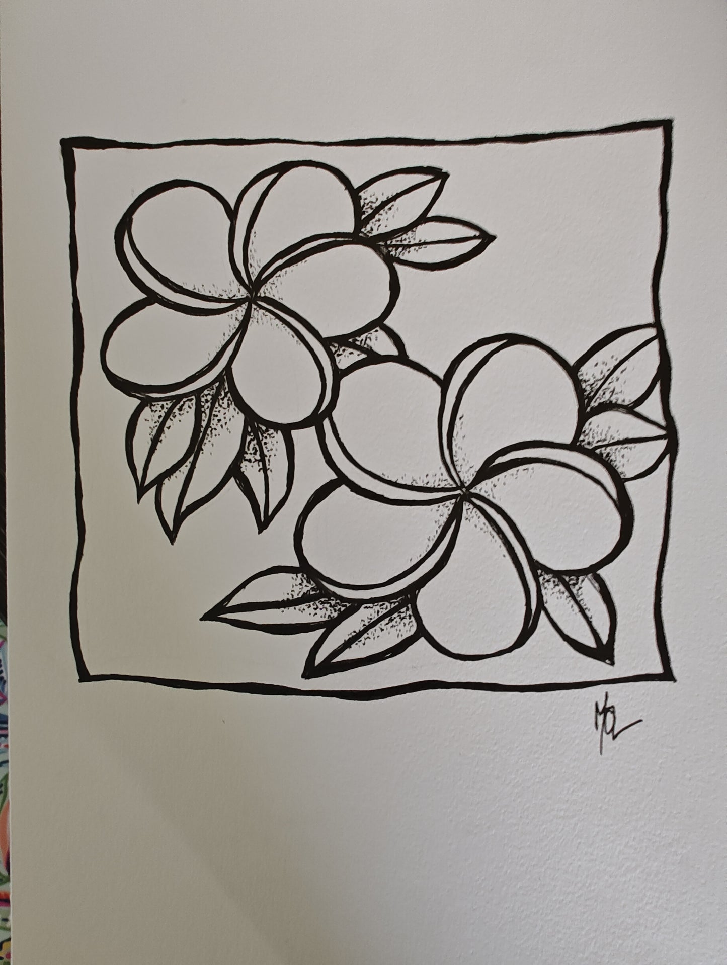 Original Ink Drawing- Plumeria