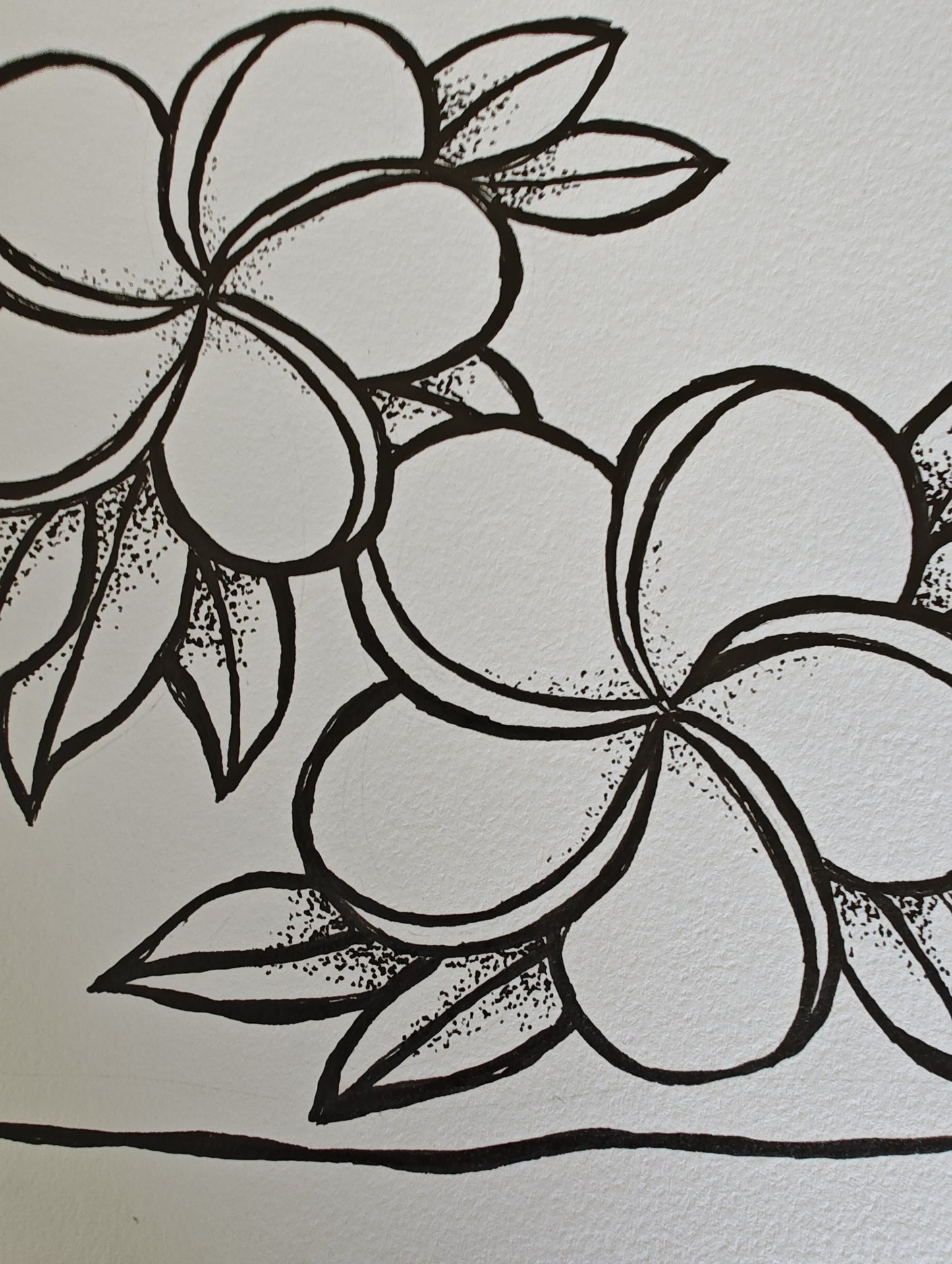 Original Ink Drawing- Plumeria