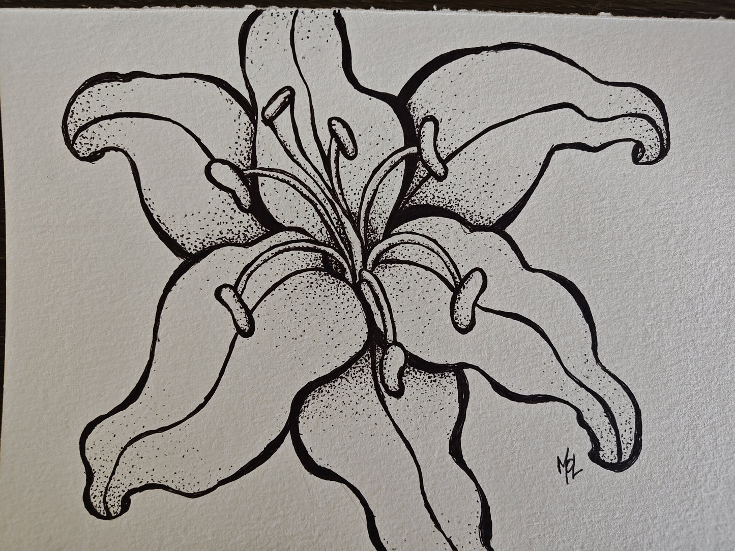 Original Tiger Lily Ink Drawing - "Ember"