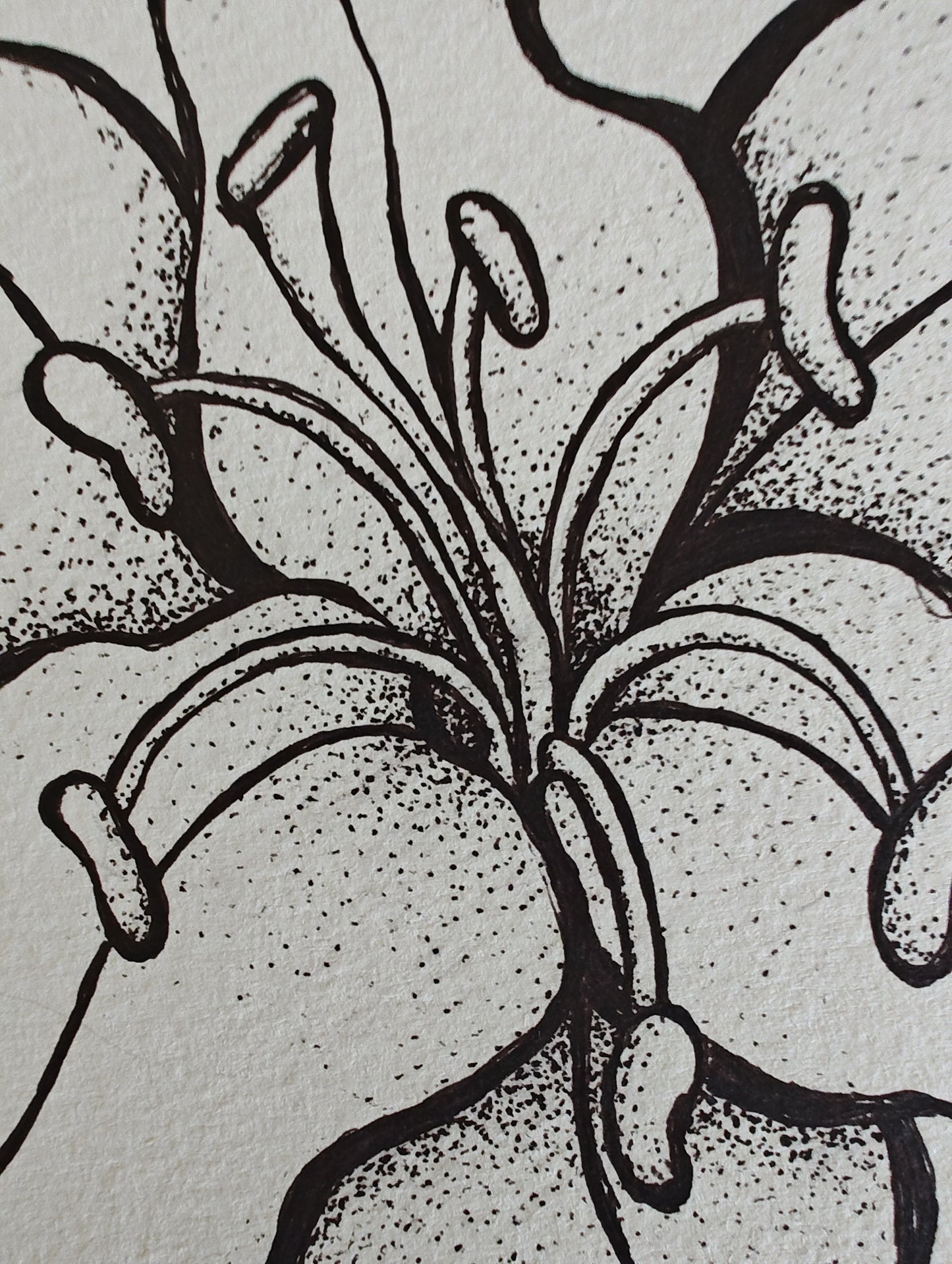 Original Tiger Lily Ink Drawing - "Ember"