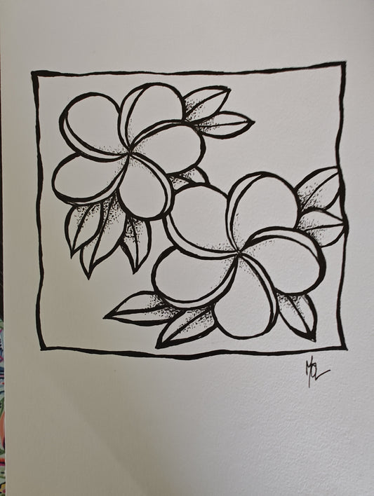 Original Ink Drawing- Plumeria
