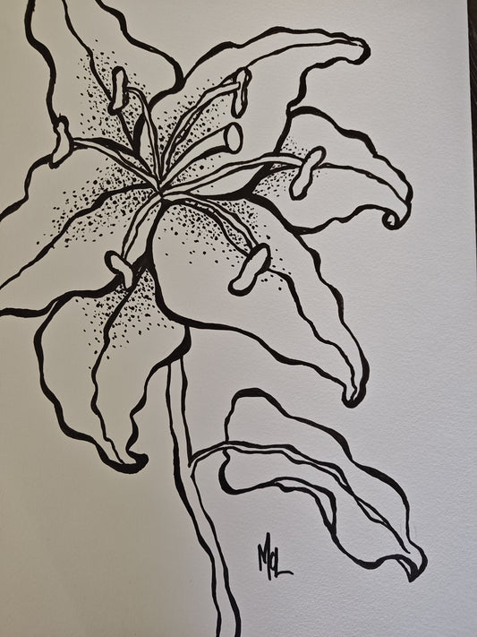 Original Lily Ink Drawing - "Lilith"