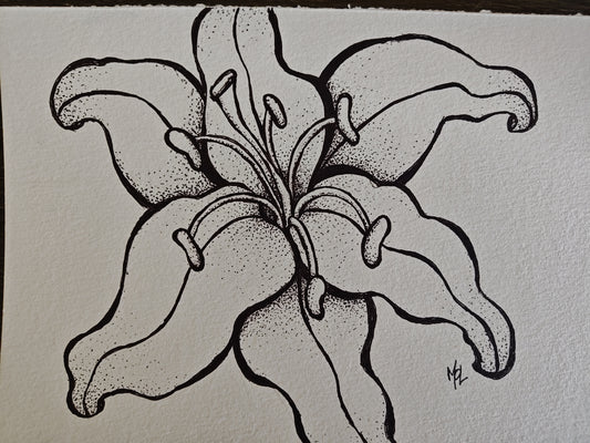 Original Tiger Lily Ink Drawing -  "Ember"