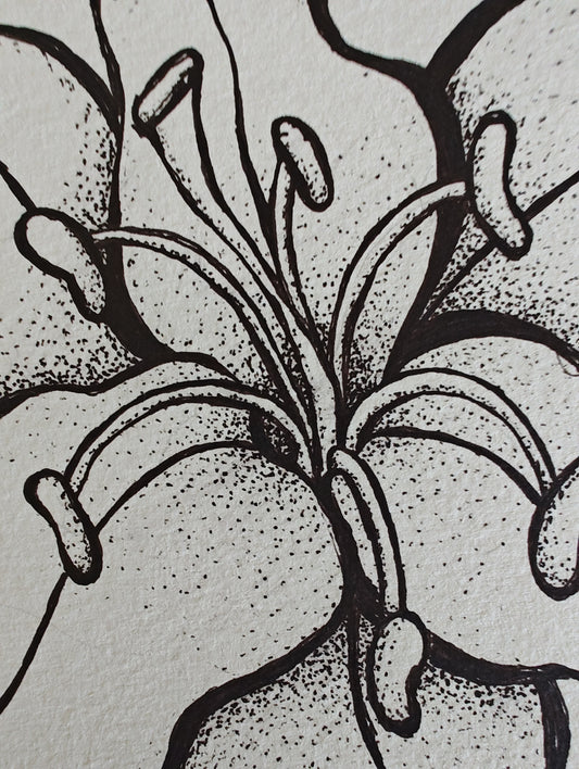 "Ember" - 10" x 7" Original Tiger Lily Ink Drawing